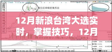 掌握技巧，关注全攻略，新浪台湾大选实时报道