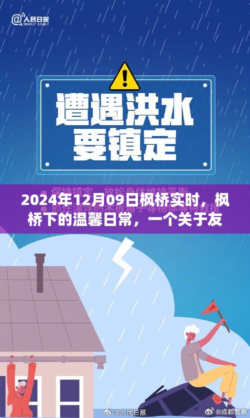 枫桥下的温馨日常，友情、爱与陪伴的故事（2024年12月09日枫桥实时）