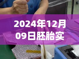 探秘巷子深处的秘密，胚胎实时监控市场的小店故事，2024年12月09日观察报告