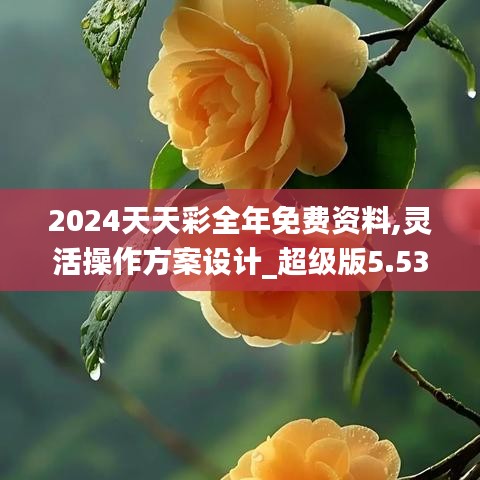 2024天天彩全年免费资料,灵活操作方案设计_超级版5.537