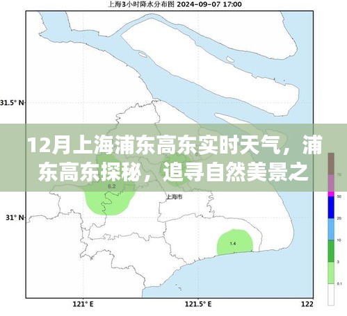 冬日的浦东高东自然美景探秘，追寻宁静与实时天气的相遇