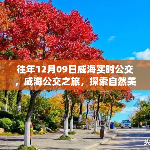 威海公交之旅，探索自然美景与内心宁静的和谐交汇点（往年12月9日实时公交信息）