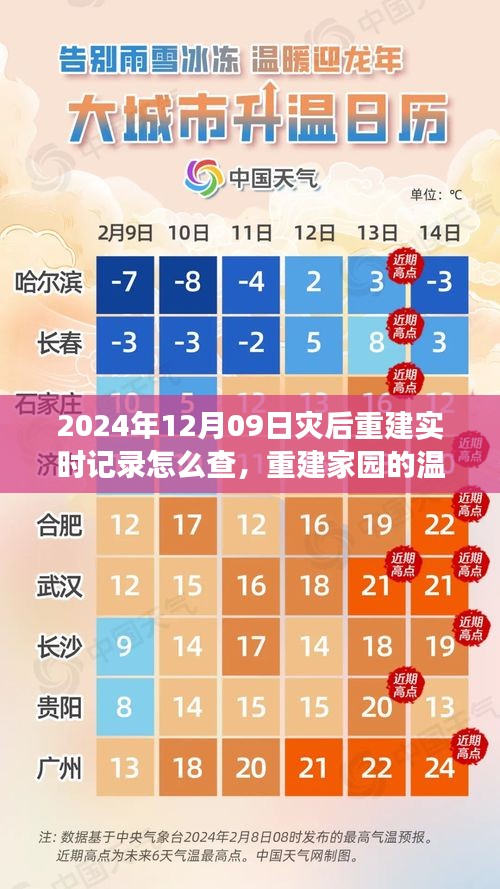 灾后重建家园的温馨之旅，实时记录体验与查询指南（2024年12月09日）