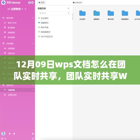 WPS文档团队实时共享指南，操作教程与个人观点分享