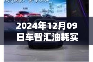 车智汇油耗实时监控引领绿色出行新时代，智能科技助力节能环保驾驶