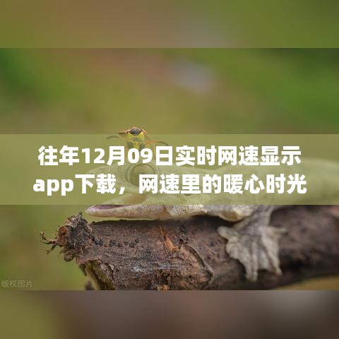 下载速度与友情的暖心时光，历年12月09日实时网速显示app故事