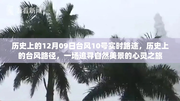 探寻自然之美，历史上的台风路径追踪与心灵之旅——台风10号实时路途揭秘