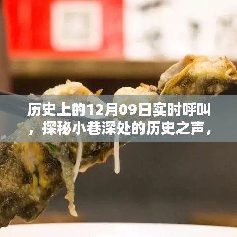 探秘小巷深处的历史之声，隐藏特色小店在十二月九日的历史实时呼叫的魅力