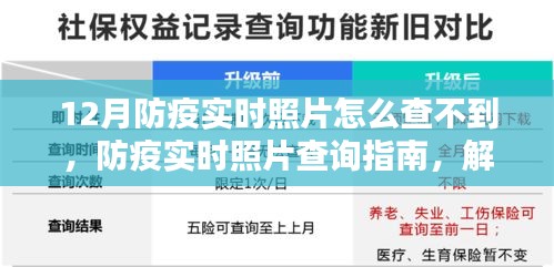 解决12月防疫实时照片查询难题，防疫照片查询指南揭秘！