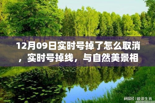 自然美景中的奇妙旅程，实时号掉线与重新连接的冒险