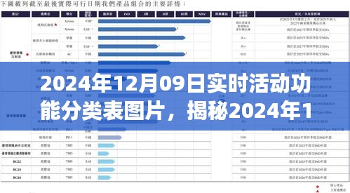 揭秘，2024年12月09日实时活动功能分类表图片概览