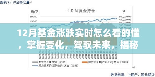 揭秘十二月基金涨跌背后的秘密，洞悉实时变化，自信投资笑看风云！