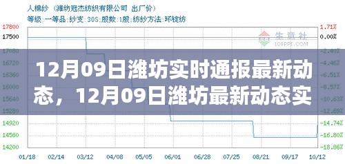 12月09日潍坊最新动态实时更新