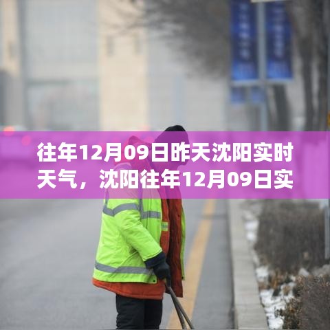 沈阳往年12月09日实时天气查询与解读指南，从初学到进阶用户全攻略