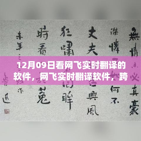 网飞实时翻译软件，跨越语言界限的神奇体验（12月09日体验分享）