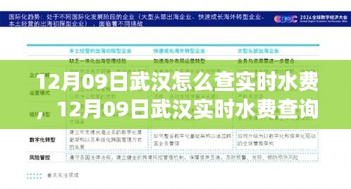 武汉实时水费查询系统评测，便捷性、准确性及用户体验分析