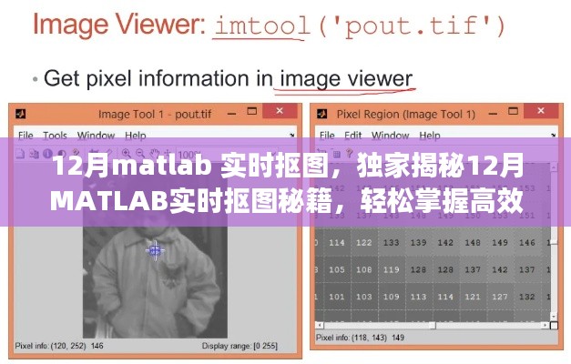 独家揭秘，MATLAB实时抠图秘籍，高效图像处理技巧轻松掌握