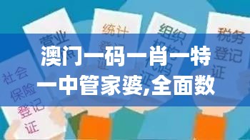 澳门一码一肖一特一中管家婆,全面数据执行方案_网页版11.343