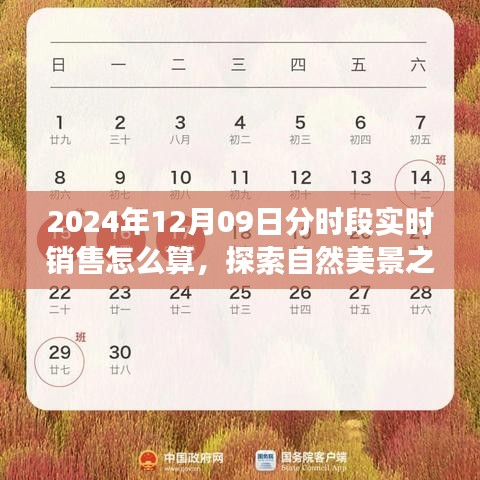 揭秘2024年分时段实时销售背后的秘密，自然美景之旅与心灵宁静的探寻之路