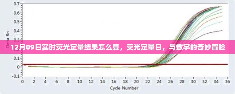 荧光定量日，如何计算实时荧光定量结果及数字背后的奇妙冒险