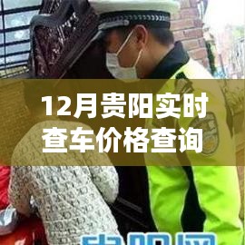 12月贵阳实时查车价格官网深度解析及观点阐述