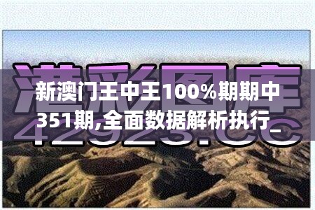 新澳门王中王100%期期中351期,全面数据解析执行_The3.496