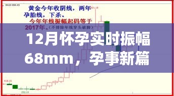 孕程新篇章，揭秘12月怀孕实时振幅68mm的历程与影响