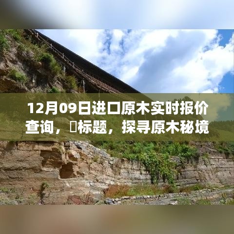 探寻原木秘境，远离尘嚣的十二月原木之旅实时报价查询