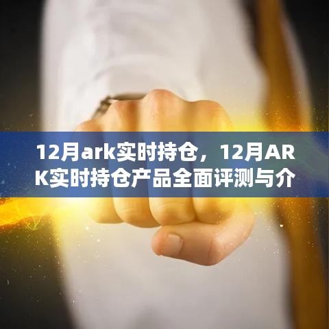 12月ARK实时持仓产品深度评测与介绍