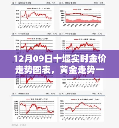 十堰实时黄金走势图表深度评测，金价走势一目了然