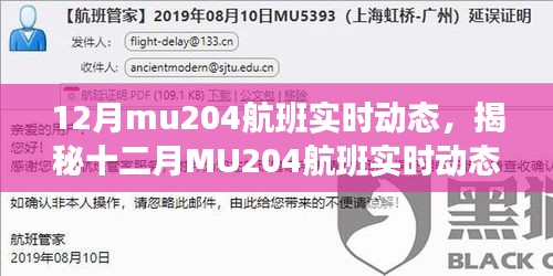 揭秘十二月MU204航班实时动态，飞行追踪与体验分享