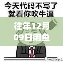 往年12月9日闲鱼IP实时性揭秘，真相探究与IP真实性探究