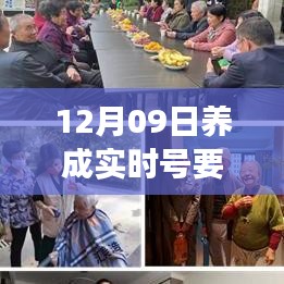 从十二月九日开始的实时号养成记，温馨的陪伴之旅需要多久？