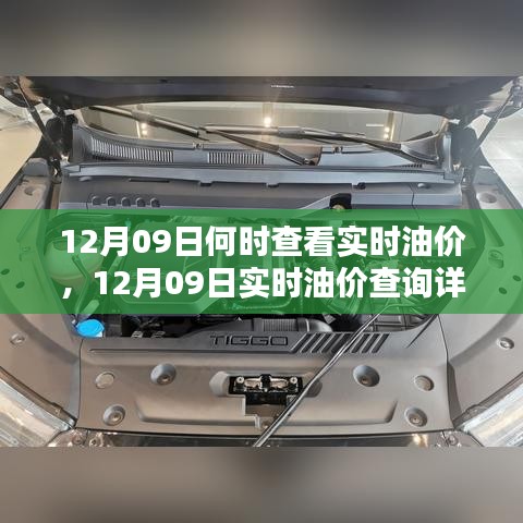 12月09日实时油价查询指南，详解、特性、体验、竞品对比及用户群体分析