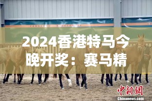 2024香港特马今晚开奖：赛马精神与速度的激情碰撞，拭目以待今夜的精彩瞬间