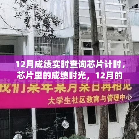 芯片时光里的暖心查询之旅，12月成绩实时查询