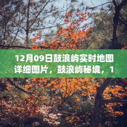 鼓浪屿秘境探索，12月09日实时地图详细图片，心灵港湾的宁静之旅