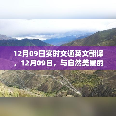 12月09日，实时交通与偶遇自然美景，心灵平静之旅启程