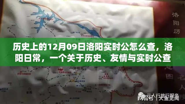 历史上的洛阳，实时公查与温馨的日常故事