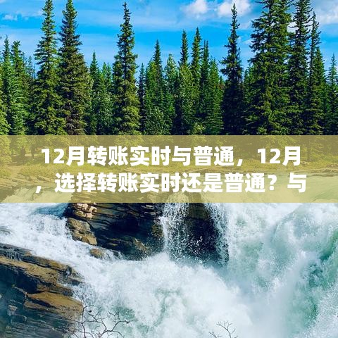 12月转账选择，实时还是普通？与自然美景共舞的时刻来临！