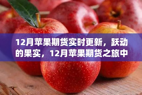 跃动的果实，12月苹果期货实时更新与成长自信塑造之旅