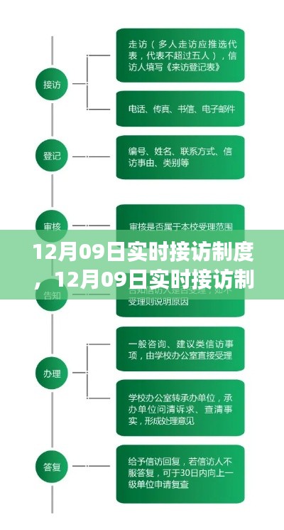 从入门到精通，12月09日实时接访制度及其操作指南详解