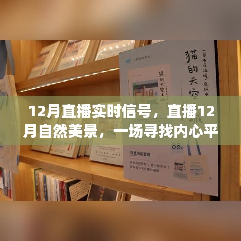 12月自然美景直播，冬日旅行之旅，探寻内心平静之旅