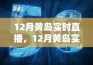 12月黄岛实时直播，价值、影响与个人观点深度探讨