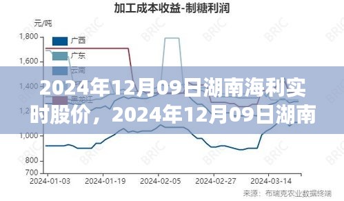 湖南海利实时股价查询指南，入门到精通的步骤教程（2024年12月09日）