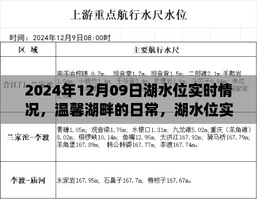 温馨湖畔的实时观察，湖水位动态与家的温馨时光（2024年12月9日）