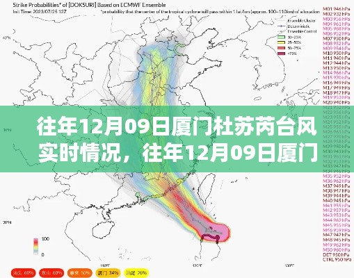 『往年12月09日厦门杜苏芮台风实时情况回顾与深度分析』