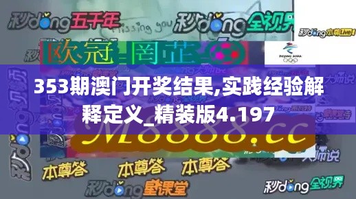 353期澳门开奖结果,实践经验解释定义_精装版4.197