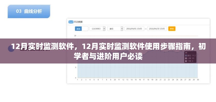 12月实时监测软件使用指南，从初学者到进阶用户的必备教程