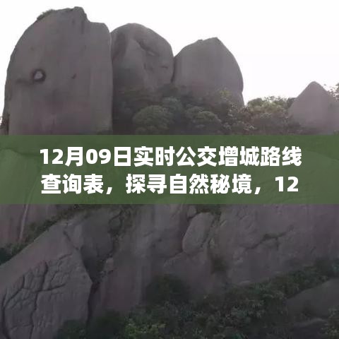 12月09日增城公交路线查询表，探寻自然秘境，启程心灵平静之旅